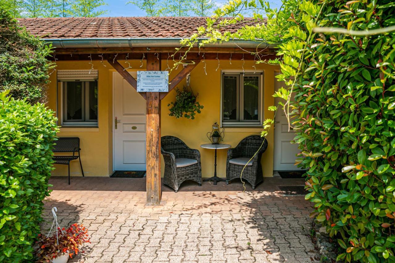 Hotel Des Dauphins Bourgoin-Jallieu Exteriör bild